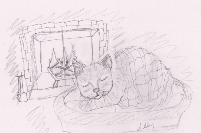 Warm Kitty by Sally Gilroy